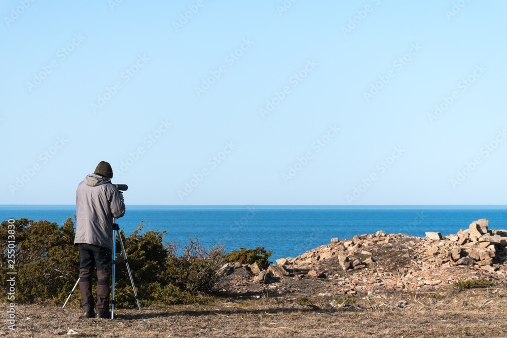 Watching birds by the sea