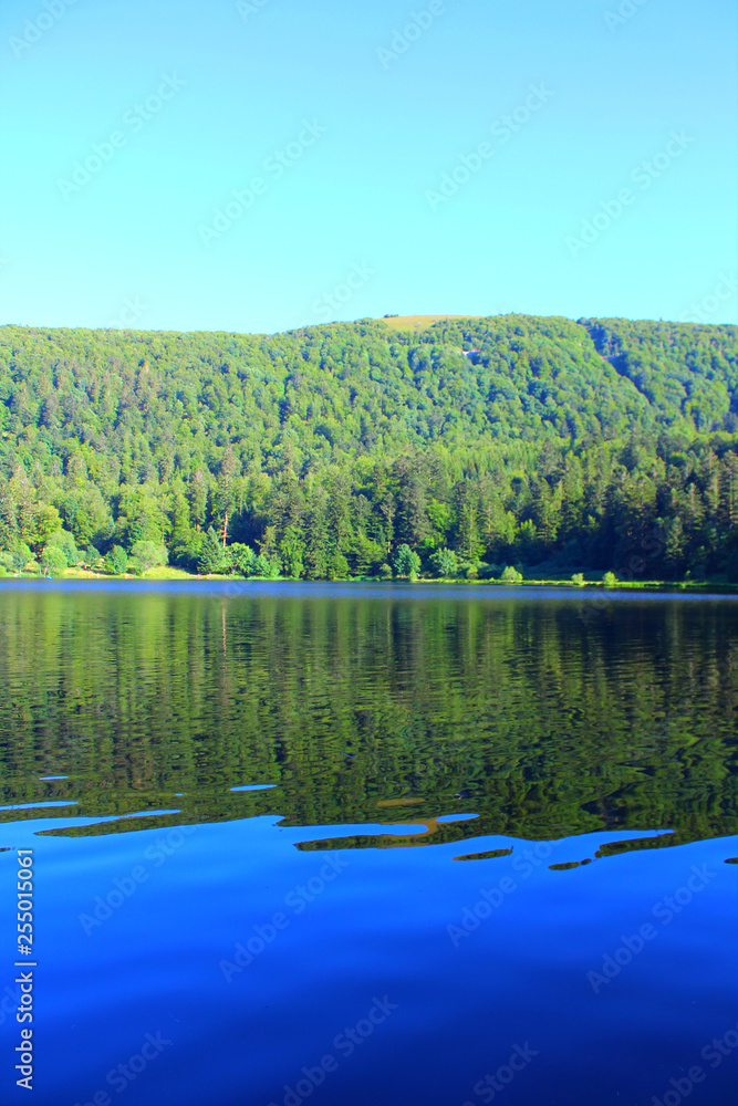 Fototapeta premium lac dans la foret des vosges en france