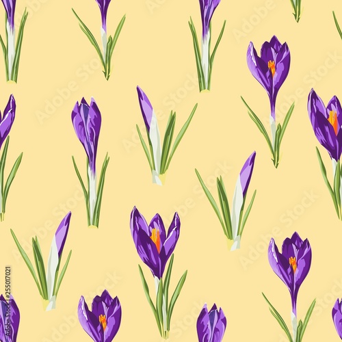 Violet crocuses flowers seamless pattern. Watercolor style Illustration. Spring yellow background.
