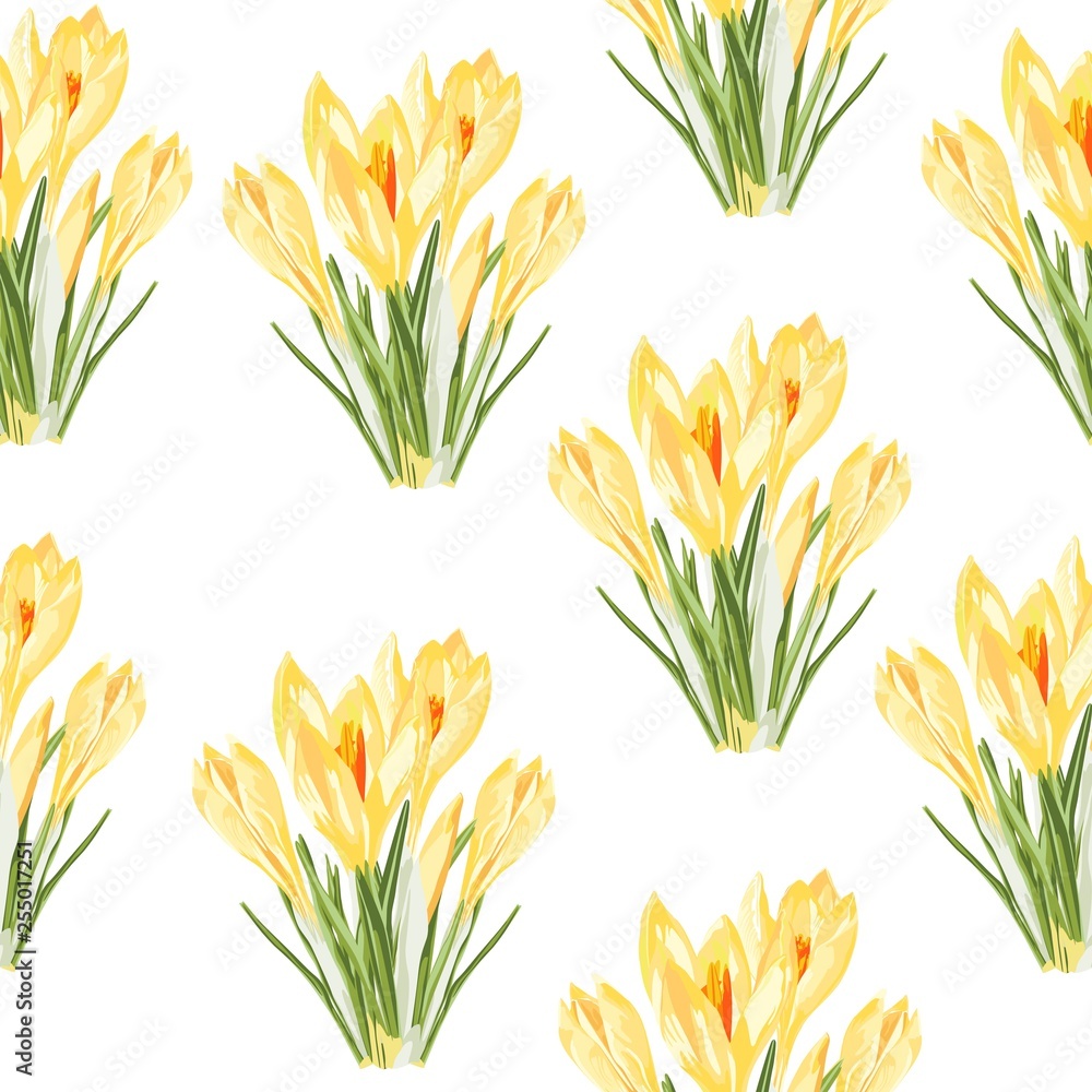 Yellow crocus flowers bouquet seamless pattern. Watercolor style Illustration. Spring white background. Yellow crocus flowers bouquet seamless pattern. Watercolor style Illustration. Spring white background.