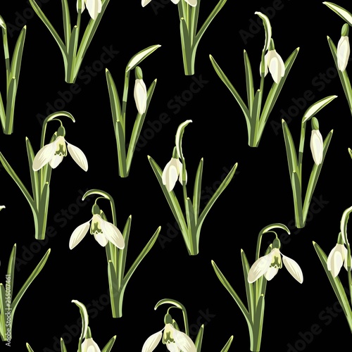 Seamless pattern with white snowdrop spring flowers and green leaves on a black background.