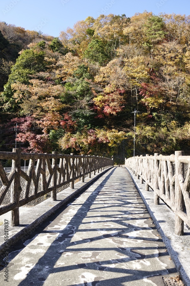 秋の箒沢公園橋