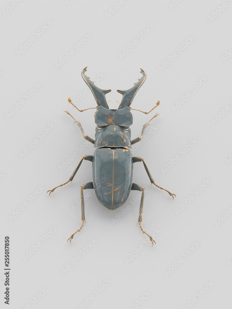 metal beetle on white metal beetle on white