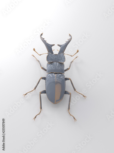 metal beetle on white © Photobank