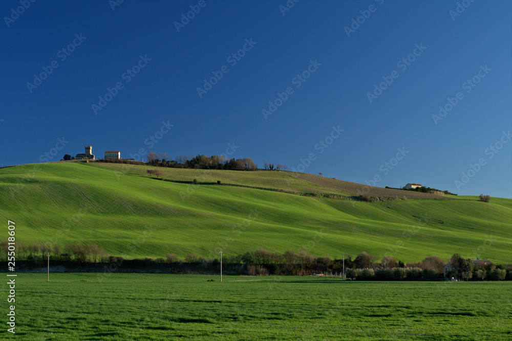 rural landscape with green field and blue sky,landscape, field, sky, grass, green,agriculture,blue, horizon, rural, farm, spring, tree, countryside, country, land, view,outdoors, fields 