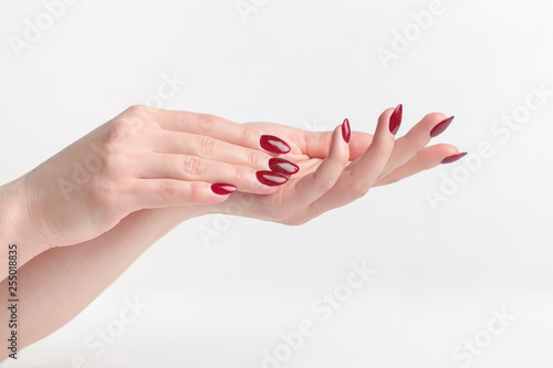A Woman s Hands With Manicure