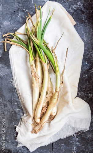 Calçots