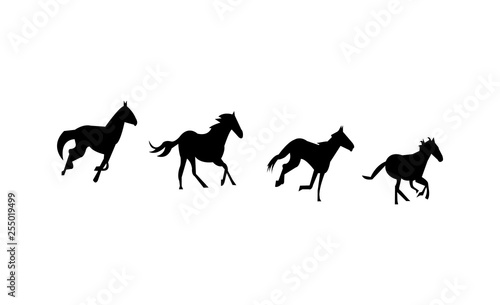 horse silhouettes of horses on white background