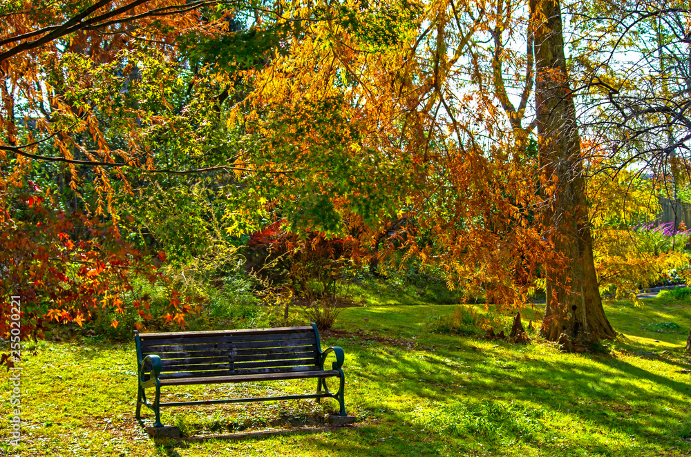 ベンチのある秋の風景
