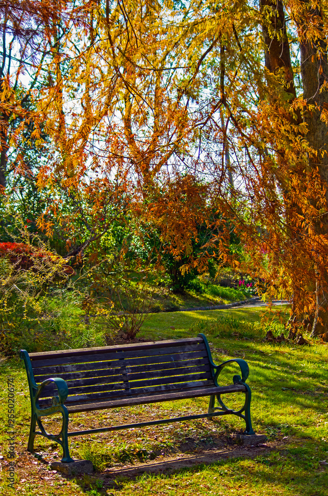 ベンチのある秋の風景
