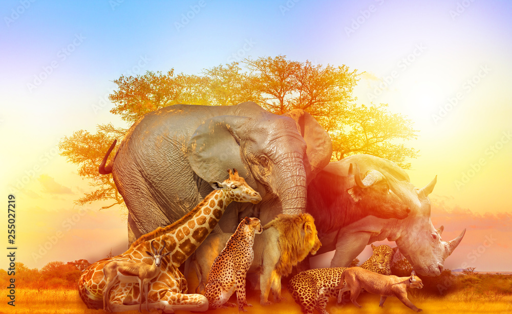 Φωτογραφία Big Five and wild animals collage with african tree at sunrise in Serengeti wildlife area, Tanzania, East Africa
