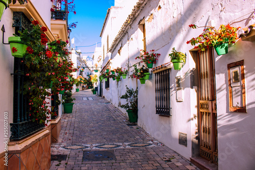 Fototapeta Naklejka Na Ścianę i Meble -  Street. The picturesque street of the city of Estepona. Costa del Sol, Andalusia, Spain. Picture taken – 12 March 2019.