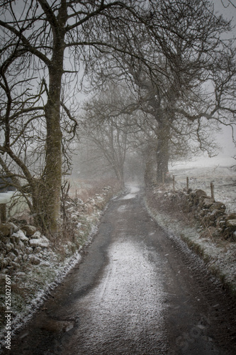 English country lane in winter © Beholder