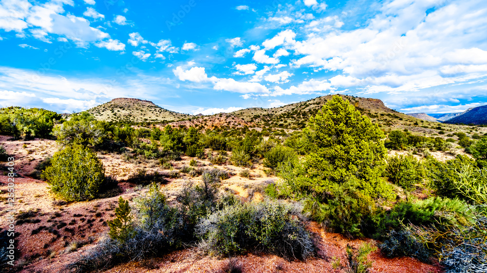 The mountains with varied vegetation in the red rock country at the Beaverhead Flats Road near the Village of Oak Creek in Northern Arizona 