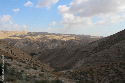 Wadi Qelt in Judean desert near Jericho, nature, stone, rock and oasis. Unseen, unknown, unexplored places, hidden travel destinations, Israel © Violeta
