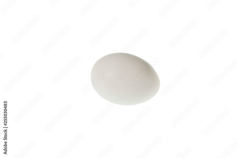 Close up view of white chicken egg isolated. Food backgrounds. Healthy eating concept. Close up view of white chicken egg isolated. Food backgrounds. Healthy eating concept.
