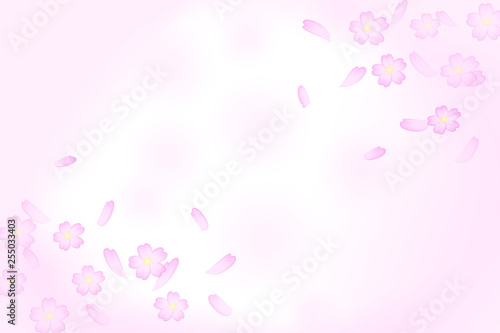 Background material that Sakura Fubuki dances.  桜吹雪が舞う背景素材 © Kana Design Image