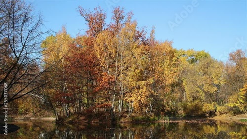 Autumn lake background in an evening park