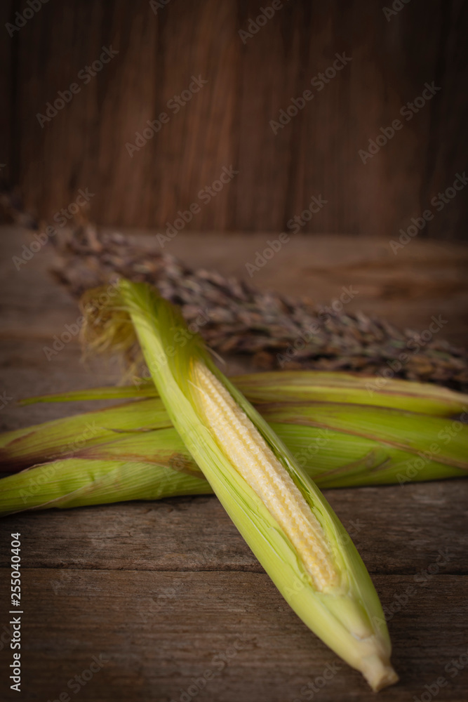 Fresh ripe Baby corn on the wood table background Fresh ripe Baby corn on the wood table background