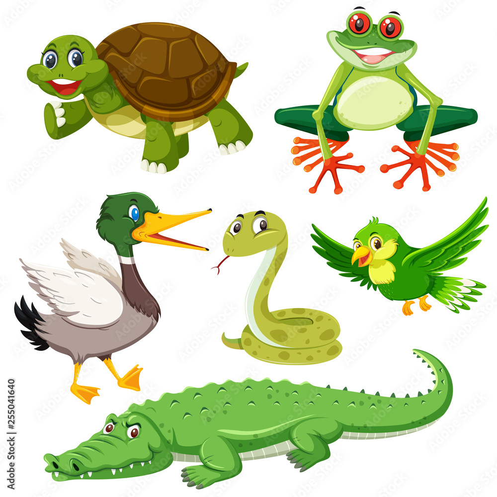 Obraz premium Set of green animal