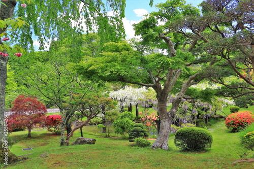 新緑の日本庭園
