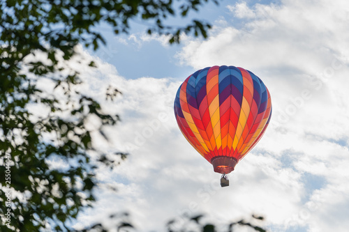 Colorful hot air balloon framed by leaves