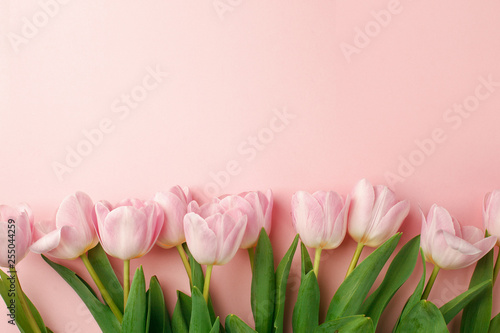 Fototapeta Naklejka Na Ścianę i Meble -  Pastel pink tulip flowers bouquet on pink background. Flat lay, top view. Minimal floral flatlay concept