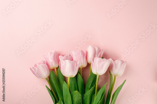 Fototapeta Naklejka Na Ścianę i Meble -  Pastel pink tulip flowers bouquet on pink background. Flat lay, top view. Minimal floral flatlay concept