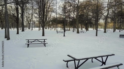 Wallpaper Mural Cinematic smooth footage moving forwards in a park with dry trees, snowy pathway and benches during winter season. Torontodigital.ca