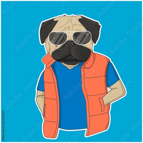 Pug in clothes vector illustration