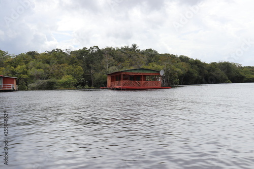 florest Amazonic Brazil