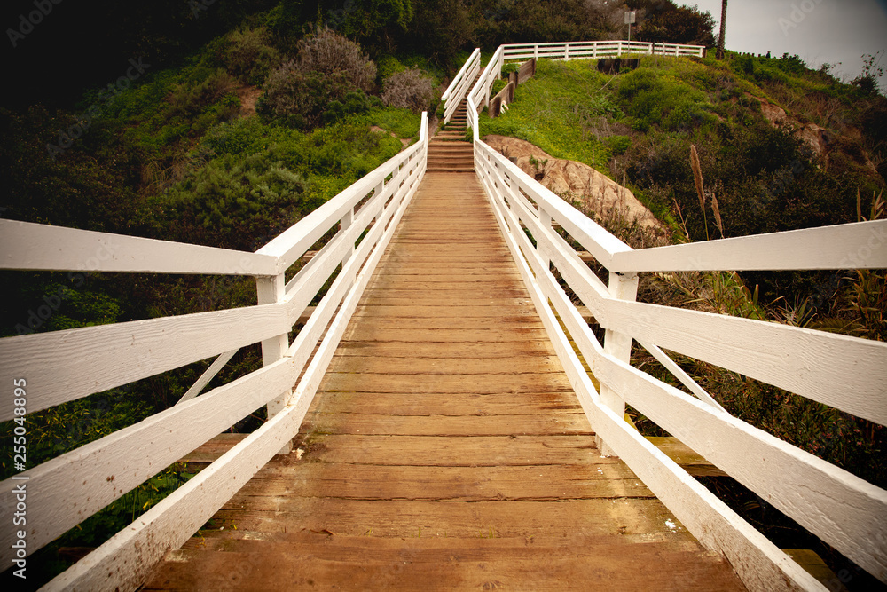 Fototapeta premium wooden walk way