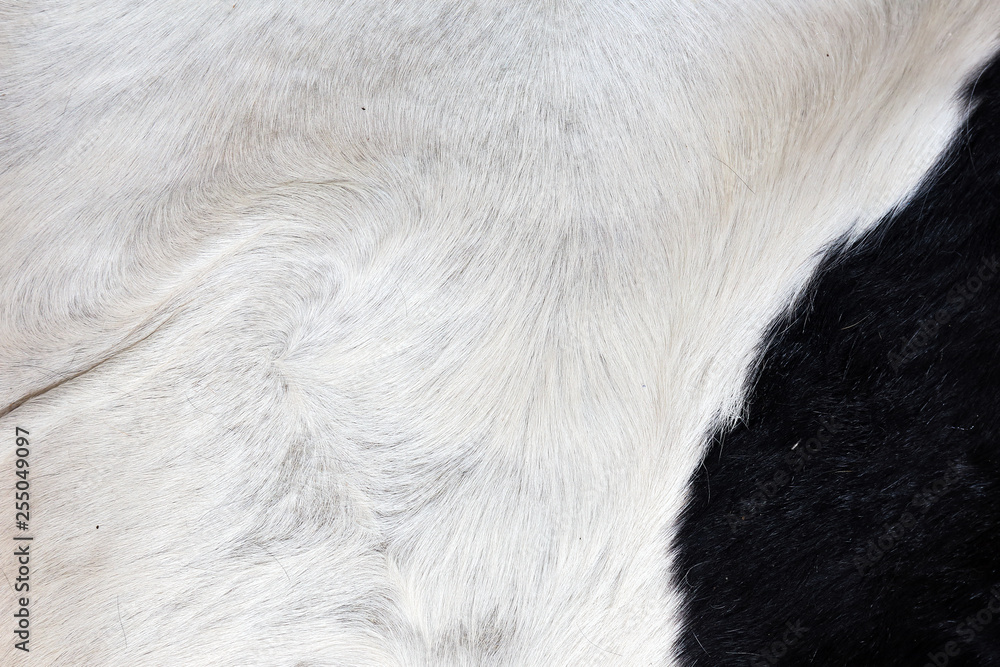 Wool texture Wool texture