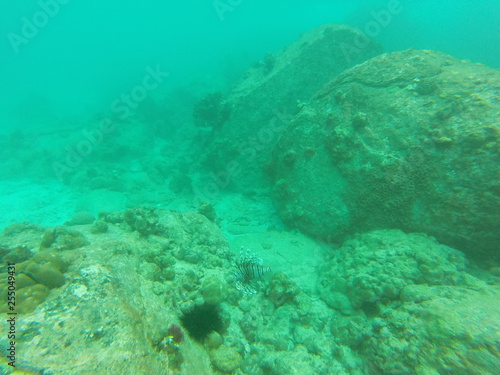 snorkeling seychelles