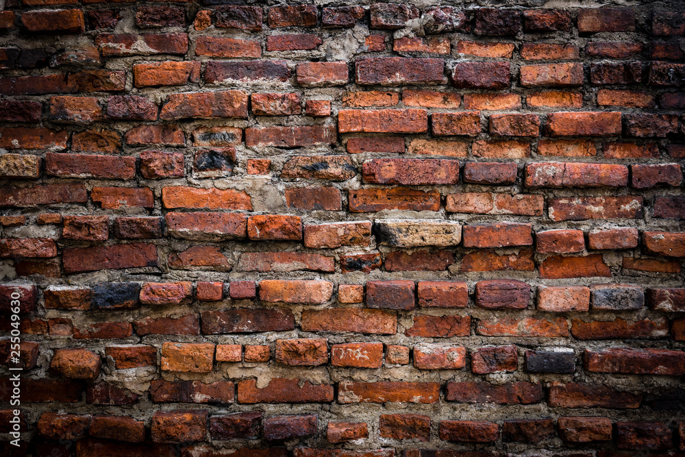 Obraz premium brick wall