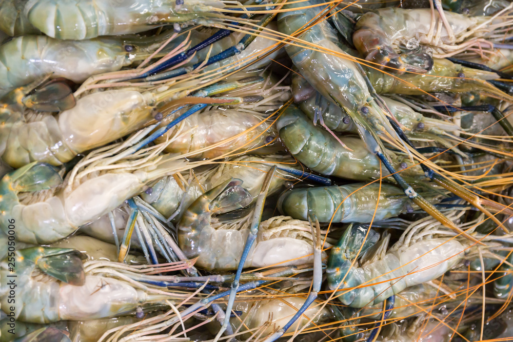 Raw shrimps for sale on the market