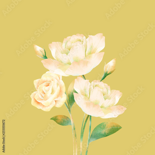 Gardenia Jasminoides