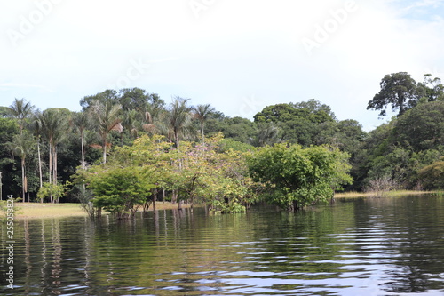 lake in the park