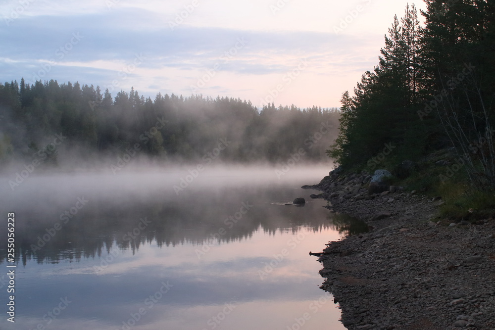 Fototapeta premium misty river