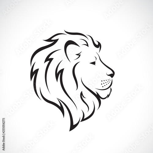Vector of male lion head design on a white background., Wild Animals. Easy editable layered vector illustration.