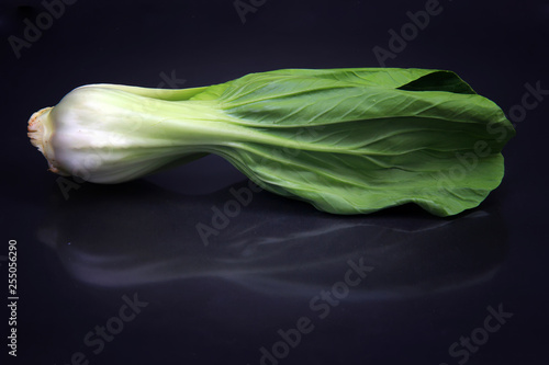 choy sum isolated black background photo