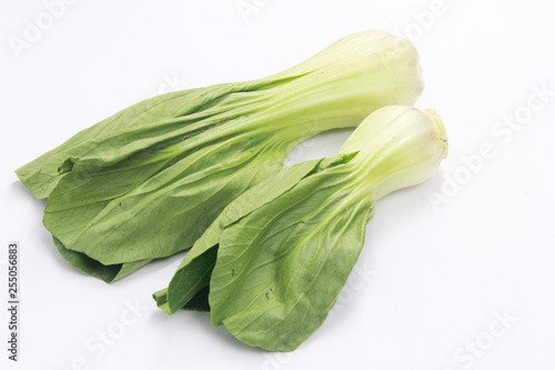 choy sum isolated white background