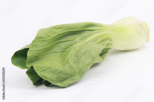 choy sum isolated white background