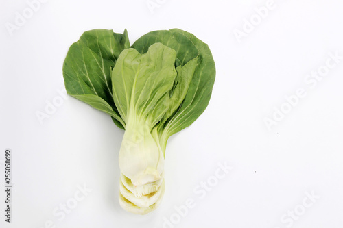 Spring Greens isolated white background