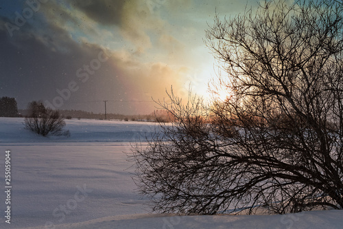 Sunset In The Snowfall