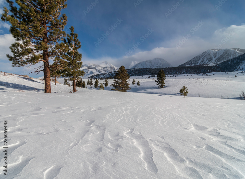 Winter Sierra Nevada Mountains