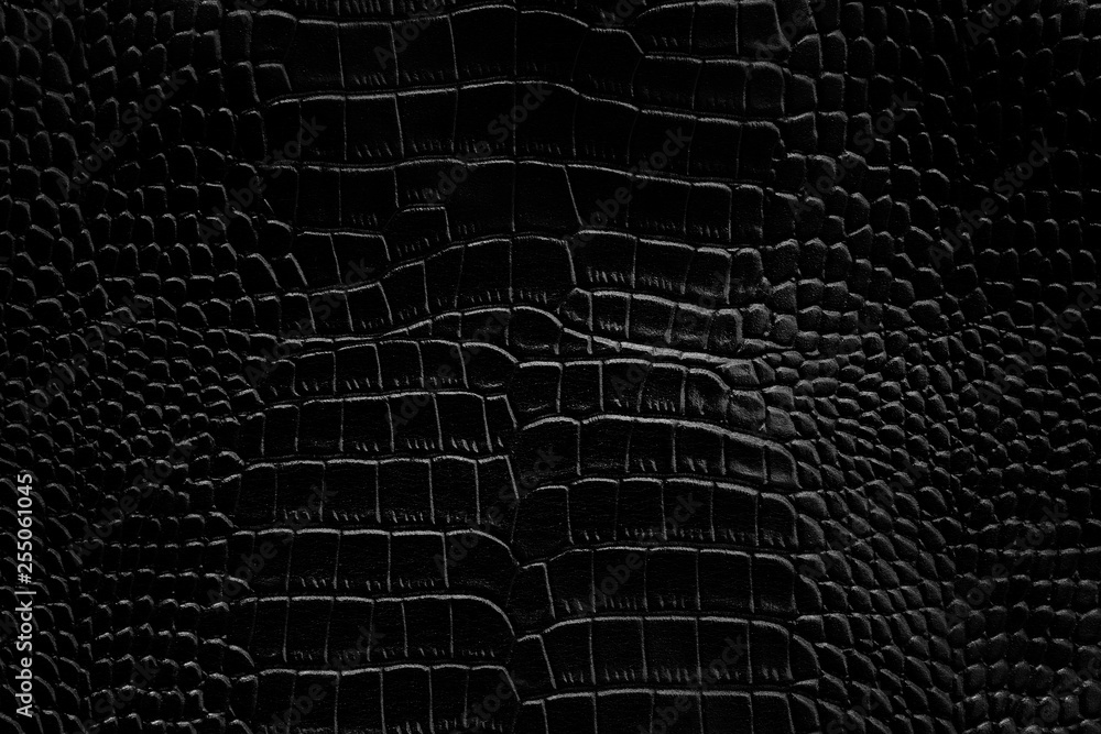 Black crocodile leather texture background Ready used us backdrop or  products design Stock Photo
