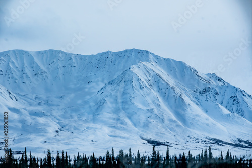 Alaska Wilderness in Winter