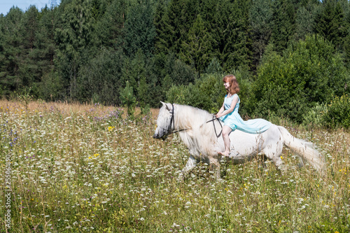 Young girl and white horse on nature in summer © keleny
