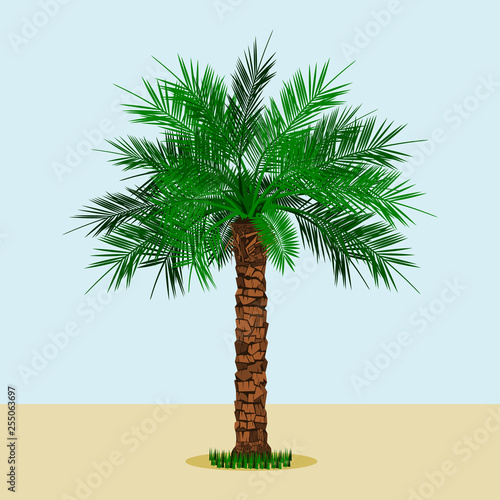 Editable Long Trunk Date Palm Tree With Grass at the Bottom on Simple Background Vector Illustration for Islamic or Arab Nature and Culture Also Healthy Foods Related Design